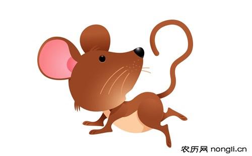 属鼠人如何提升异性缘