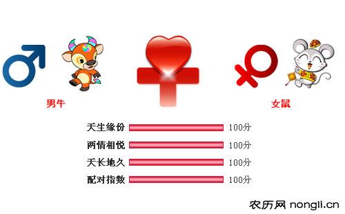 男属牛和女属鼠相配吗
