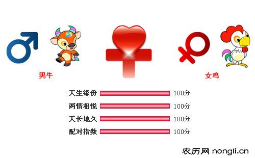 男属牛和女属鸡相配吗