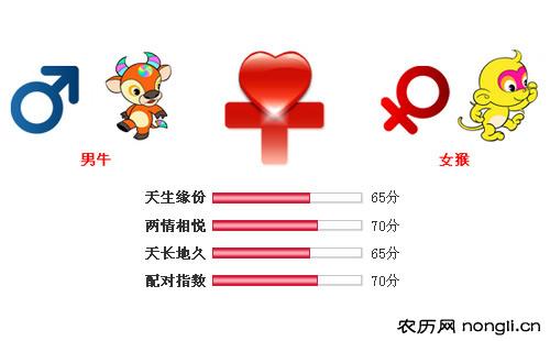 男属牛和女属猴相配吗