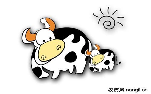 属牛人如何为爱情保鲜