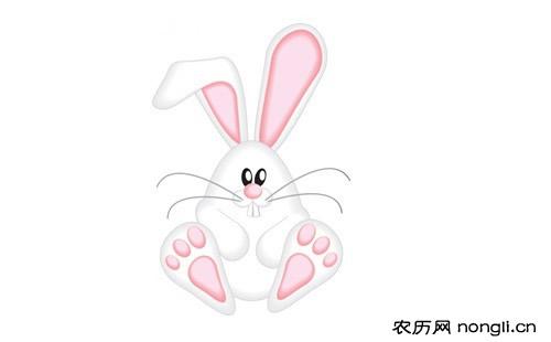 属兔人的婚姻与命运