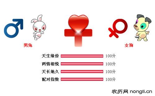 男属兔和女属狗相配吗