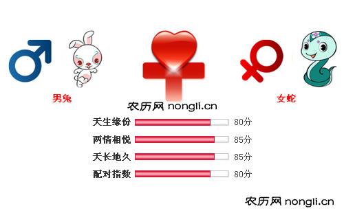 男属兔和女属蛇相配吗