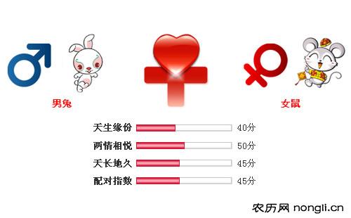 男属兔和女属鼠相配吗
