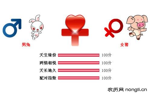 男属兔和女属猪相配吗