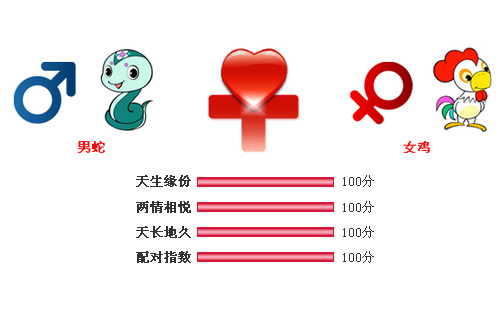 男属蛇和女属鸡相配吗