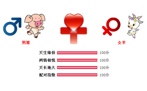 男属猪和女属羊相配吗