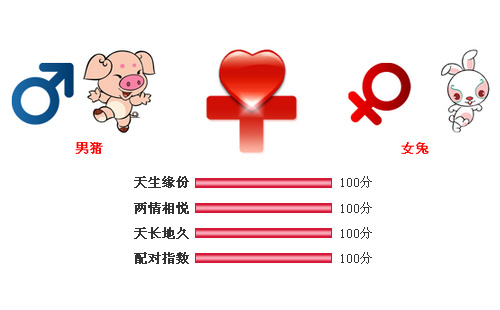 男属猪和女属兔相配吗